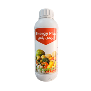 Energy Plus